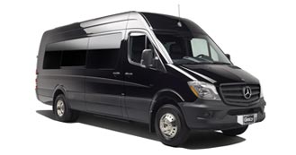 executive-sprinter